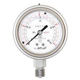 Vibration-resistant pressure gauge